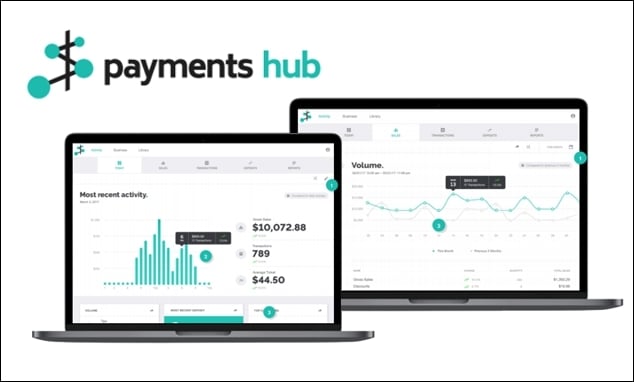 A graphic of a person learning about payment processing on the PaymentsHub platform, with icons representing a dashboard, transactions, accounts, and fraud prevention.